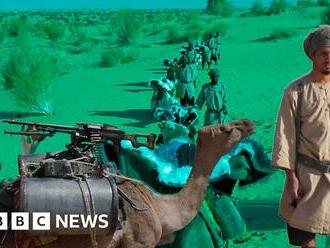 The Meharists: Mauritania's camel cavalry fighting jihadists in Sahel