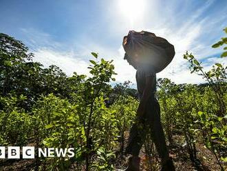 New cocaine trafficking hubs in Africa - UN