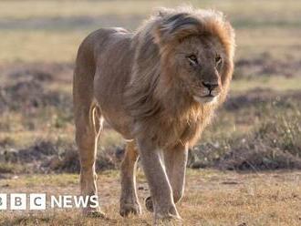 UK set to ban importing animal hunting trophies