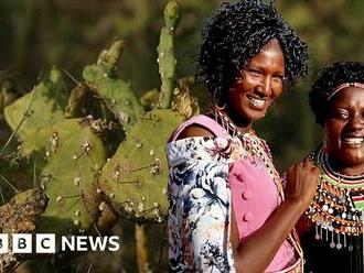 Kenya: How Twala women in Laikipia have turned a cactus into biogas profit