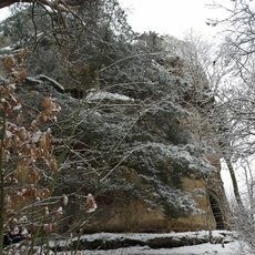 Zřícenina hradu Jestřebí