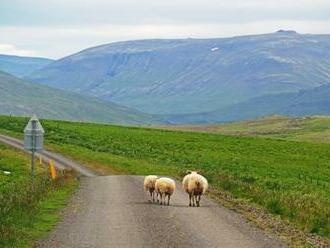 Ako prežiť karanténu na Islande? – 2. časť  