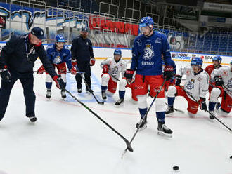 Hokejisté se sešli v Brně už i s kapitánem Červenkou a třemi posilami z NHL