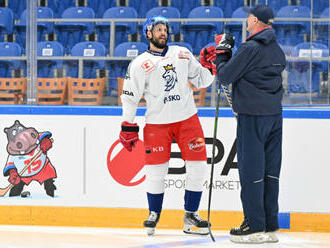 Hyka se Sedlákem opět předvedou svou souhru i v reprezentaci