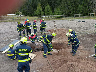 Nejspíše do starého důlního díla se propadl kůň v Přebuzi. Probíhá jeho záchrana, na místě je…