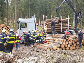 Při manipulaci s kládami u Horní Blatné se jedna z klád uvolnila a spadla na lesního dělníka.…