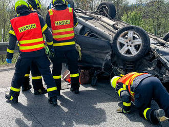 Při nehodě osobního automobilu na dálnici D48 byla zraněna řidička i její psice