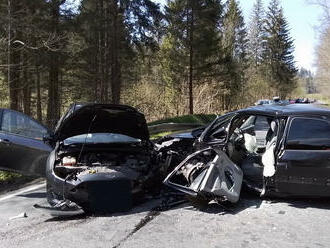 K čelnímu střetu dvou osobních vozidel vyjížděli hasiči k Lipové-lázním na Jesenicku. Postupně…