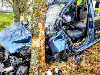 U nehody osobního auta u Břehova zasahovali českobudějovičtí profesionální hasiči, vyprošťovali řidičku