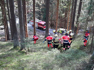 Dvě jednotky vyjížděly ke zranění dřevorubce, ke kterému došlo během kácení v lese mezi obcí Milíře…