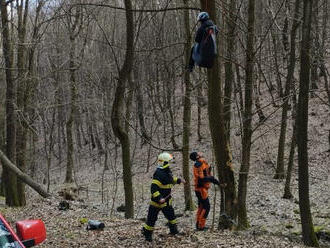 Nedaleko zříceniny hradu Kyšperk uvízl paraglidista v koruně stromu. Hasiči za pomoci lezecké…