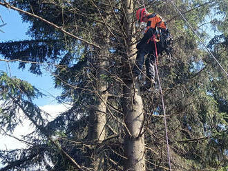 Hasiči – lezci ze stanice HZS Liberec zachránili paraglidistu visícího na stromě v přibližně…