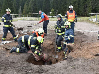 Kůň se v Přebuzi propadl do starého důlního díla, navzdory velké snaze se ho nepodařilo zachránit