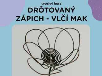 Tvorivý workshop - Drôtovaný zápich vlčí mak