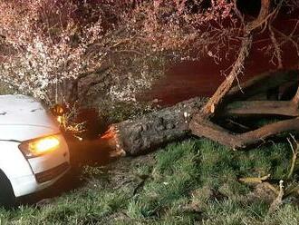 Řidič na Opavsku narazil do stromu. Čtveřice mladých lidí skončila v nemocnici