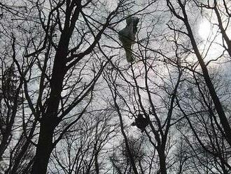 Na stromě v Horní Krupce uvízl paraglidista. Zachránili jej hasiči