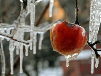 Pripravte sa, poriadne PRITUHNE: Takmer na celom Slovensku udrú MRAZY, bude až -7 °C!