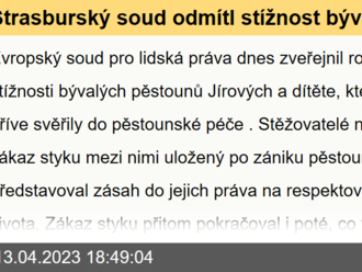 Štrasburský soud odmítl stížnost bývalých pěstounů na zákaz styku se svěřeným dítětem do pěstounské péče