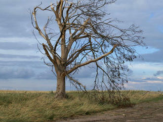 V květnu se v Ženevě budou meteorologové a hydrologové z celého světa bavit o nezbytnosti včasných výstrah před extrémními jevy změny klimatu