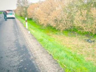 Zrazil ju a ušiel. Cyklistka je na pľúcnej ventilácii. Polícia žiada o pomoc