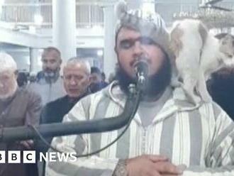 Cat jumps on imam leading Ramadan prayers in Algeria