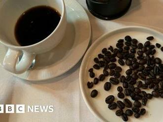 The bean that could change the taste of coffee