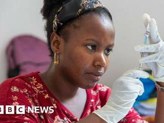 Ghana first to approve 'world-changer' malaria vaccine