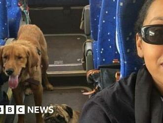 Sudan fighting: On a bus to Egypt with Mario the pug