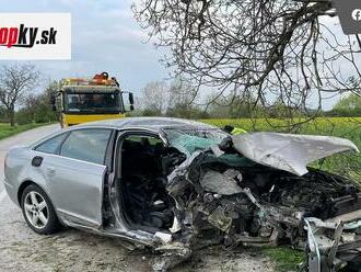 Auto totálne na šrot, vodič nafúkal! Ťažká nehoda pri Vrbovom: Spolujazdkyňu   stála rana do stromu život