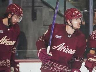 Prišiel čas, aby sa NHL zbavila projektu Arizona Coyotes?