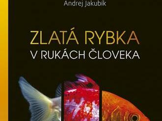 Zlatá rybka v rukách človeka: Kompletný sprievodca chovom