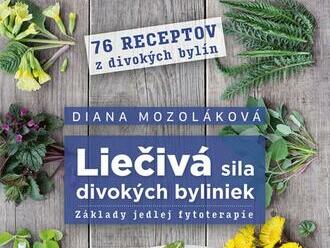 Liečivá sila divokých byliniek: Základy jedlej fytoterapie