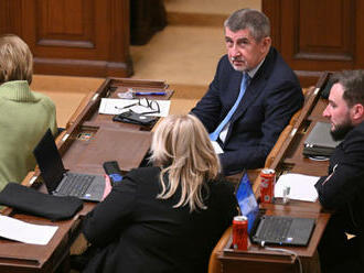 Babiš podal stížnost ve sporu s demonstrantkou, jíž se musel omluvit