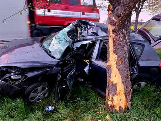 Za obcí Ratibořské Hory na Táborsku, ve směru na Dolní Hrachovice, narazil osobní automobil do…