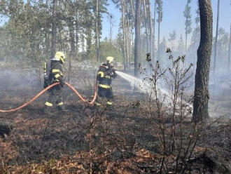 Požár lesního porostu u obce Drahanovice likvidovaly čtyři jednotky hasičů. Zasažena byla plocha…