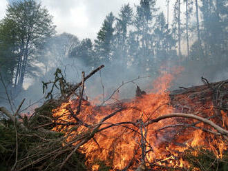 Osm jednotek zasahovalo mezi Starým Rokytníkem a Bohuslavicemi, hořela lesní paseka po těžbě