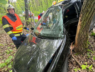 Mezi obcemi Doubravčice a Vrátkov zasahovali hasiči u nárazu osobního vozidla do stromu, pro zraněného přiletěl vrtulník