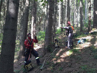 Hasiči vyjeli na kopec Kozákov na pomoc paraglidistovi. Ten uváznul ve výšce zhruba 10 metrů nad…