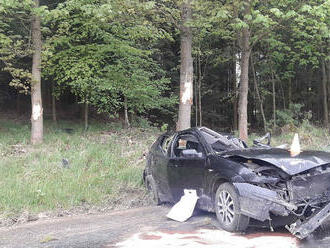 Základní složky IZS byly přivolány na silnici nedaleko Opatova směrem na Dětřichov, kde došlo k…