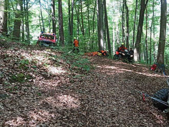 Zlínští hasiči zasahovali u nehody čtyřkolky, přimáčkla řidiče ke stromu