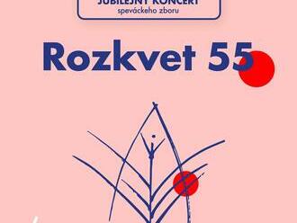 Rozkvet 55