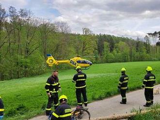 VIDEO: Vyvrácená borovice u Chrasti má další oběť. Zemřela i manželka exstarosty