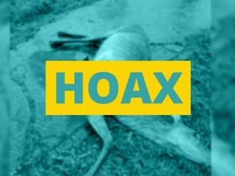 ÚTOK vlkov pred nemocnicou? Ministerstvo tvrdí, že ide o HOAX, aké má vysvetlenie?