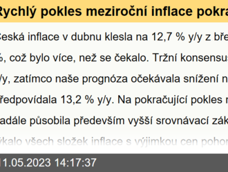 Rychlý pokles meziroční inflace pokračuje  