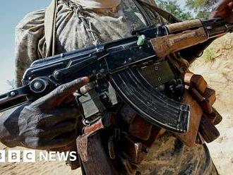 Sudan's Darfur fighting: Why an accountant took up arms