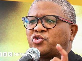 South Africa could become failed state, says ANC's Fikile Mbalula