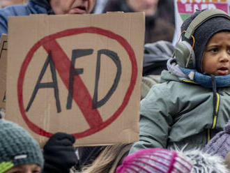 Zakázať stranu alebo jej zobrať peniaze? Nemecko rieši, ako potrestať extrémistickú AfD