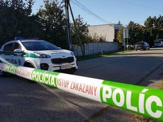 Auto pri jazere, topánky na ľade. Polícia našla pri Senci mŕtvoly muža a ženy