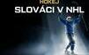 Slováci v NHL 2024/25 – hráči, platy, zmluvy, štatistiky, sledujte zápasy našich v NHL naživo