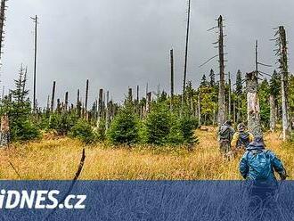 Divočinou Šumavy. Co všechno vlastně uvidíte na výletech s průvodcem